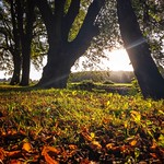 A morning in September