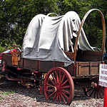 Wagon