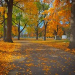 Nov 2018 Crown Hill 2 Art