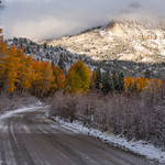 Aspen-Lined Sierra Road