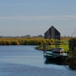Empty Boat, Empty House