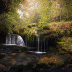 Donde moran las hadas