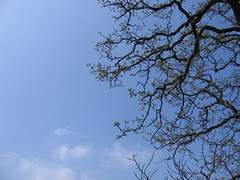 Picnic by Derwentwater