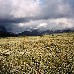 Tonquin Valley
