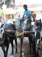 photo marathon 025 (by kapsi)