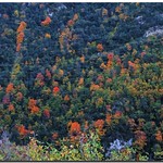 Autumn colours / Colores de oto&ntilde;o