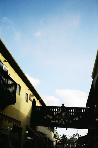 The Man look up the Sky