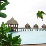 Enjoying the flight!