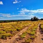 Approaching the Canyon Rim