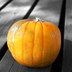 Lonely Pumpkin