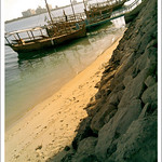 ما يهزك ريح يا مركب هوانا طول ما نحنا على بحرك مشينا