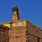 White Storks on the El Badi Palace (قصر البديع&lrm;) in Marrakech, Morocco - March 2009