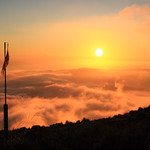 "parrac espesseït per l'or del sol" Espriu