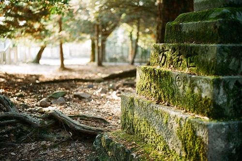春日大社への参道