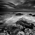 Lil Bit o' Black 'n' White