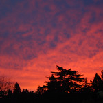 vibrant pink sunrise