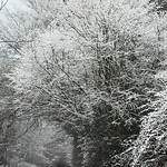 Frost for Christmas day.