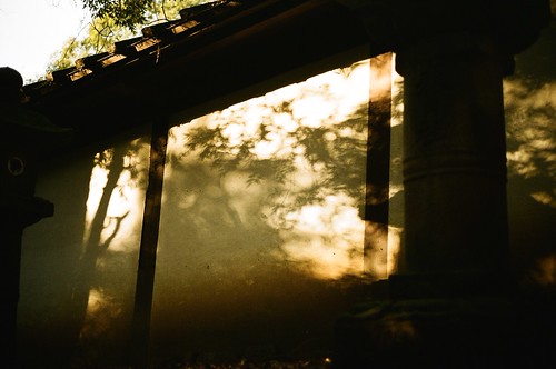 春日大社への参道