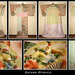 Akihime - Hikizuri Houmongi