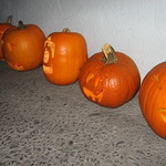 carved pumpkins