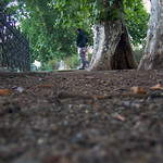 paseo fugaz (fleeting walk)