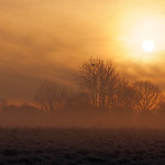 "Fenland Dawn"