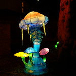 Magical Lantern Festival