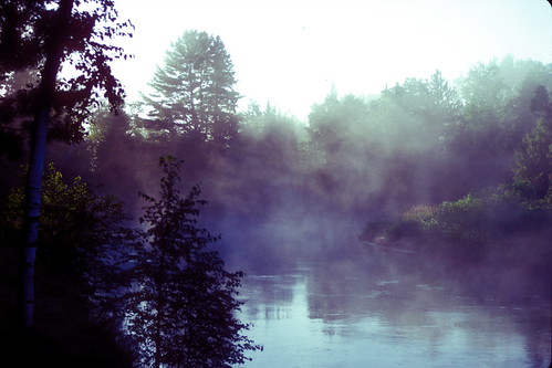 Morning on Mead Creek