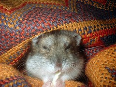 11/11/2005 *Juanita*