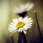 Stylc.Musie.VOL.29 - Scarborough fair