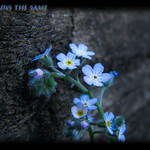 ...love remains the same...