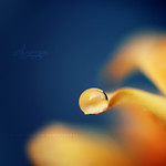 This is a secret potion that makes you see the world differently & she's found it safest to use only on the weekends