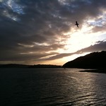 Beaumaris sunset