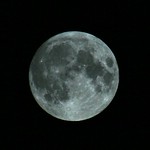 Magnificient Desolation