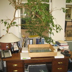 Quantum Foam work setup