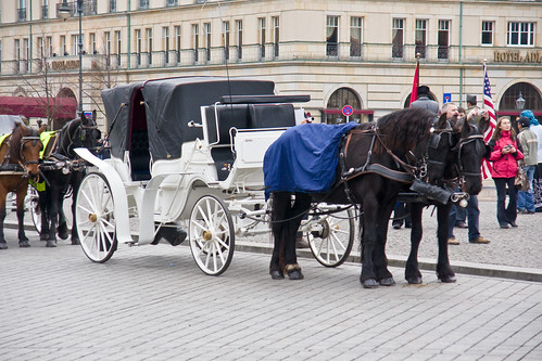 Ekologiškas prabangus transportas :)