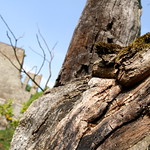 Corn&scaron;tejn Castle
