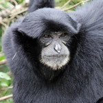 Hope to see you Tomorrow...!