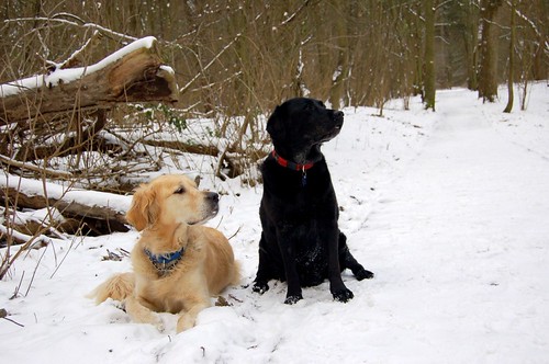 Looking forward to 2010