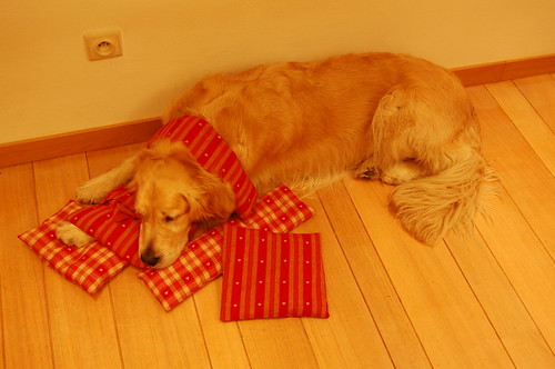 Valéas and the pillows