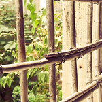 |-|fence to the cloister|-|
