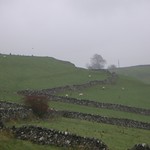 2004-11-06 Stone Walls