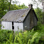 The Hut in the Woods