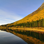 For your consideration