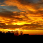 "Burning Down The House"