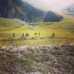 SUL SET DEL WESTERN DI STEFANO JACURTI- SE IL MONDO INTORNO CREPA