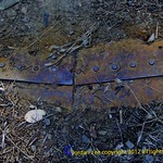 gin Lin trail 159 with copyright