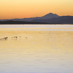 GLIDE - (Selected by GETTY IMAGES)