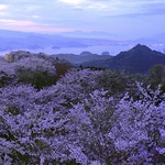 Can't Explain What The Feeling Is in The Spring Moment