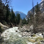 Snow Creek, Tenaya Canyon trail, Yosemite